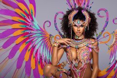 1 pc Naughty with ultra accessories - Large tiara, large necklace with shoulder pcs, wrist pcs, upper leg pcs, lower leg pcs, wire bra , fauxkini panty and xl backpack