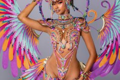 1 pc Naughty with ultra accessories - Large tiara, large necklace with shoulder pcs, wrist pcs, upper leg pcs, lower leg pcs, wire bra , fauxkini panty and large backpack.