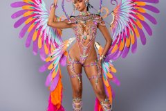 1 pc Naughty with ultra accessories - Large tiara, large necklace with shoulder pcs, wrist pcs, upper leg pcs, lower leg pcs, wire bra , fauxkini panty and large backpack.