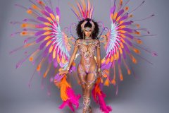 1 pc Naughty with ultra accessories - Large tiara, large necklace with shoulder pcs, wrist pcs, upper leg pcs, lower leg pcs, wire bra , fauxkini panty and xl backpack