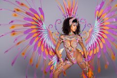1 pc Naughty with ultra accessories - Large tiara, large necklace with shoulder pcs, wrist pcs, upper leg pcs, lower leg pcs, wire bra , fauxkini panty and xl backpack