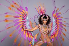 1 pc Naughty with ultra accessories - Large tiara, large necklace with shoulder pcs, wrist pcs, upper leg pcs, lower leg pcs, wire bra , fauxkini panty and xl backpack