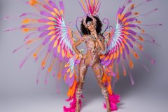 1 pc Naughty with ultra accessories - Large tiara, large necklace with shoulder pcs, wrist pcs, upper leg pcs, lower leg pcs, wire bra , fauxkini panty and xl backpack