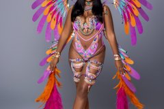  1 pc Nice with moderate accessories - small tiara, small necklace with shoulder pcs, wrist pcs, curvy thigh pcs, padded bra ,high waist panty and medium backpack with bustle.