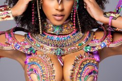 2 pc Naughty with ultra accessories -small tiara, large necklace with shoulder pcs, wrist pcs, upper leg pcs, lower leg pcs and wire bra.