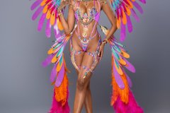 2 pc Nice with moderate accessories - Small tiara, small necklace with shoulder pcs, wrist pcs, upper leg pcs, padded bra , classic bikini bottom and medium backpack with bustle.