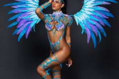 Frontline -wire-bra w fl-gem bikini bottom, fl tiara, fl necklace w shoulder pc, fl arm pcs, fl upper & lower leg pcs & large backpack.