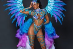 Frontline-w-wire-bra-fl-gem-bikini-bottom-fl-tiara-fl-necklace-shoulder-fl-arm-pcs-fl-upper-lower-leg-pcs-large-backpack-w-bustle-1-