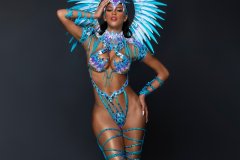 Frontline -wire-bra w fl-gem bikini bottom, fl tiara, fl necklace w shoulder pc, fl arm pcs, fl upper & lower leg pcs & medium backpack.