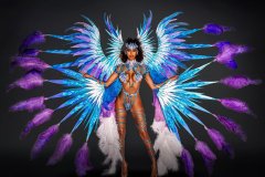 AELLO-INDIVIDUAL-14.3.1