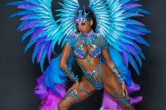 Section Leader-wire-bra w fl-gem bikini bottom, fl tiara, fl necklace w shoulder pc, fl arm pcs, fl upper & lower leg pcs & xl backpack.