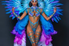 Section Leader-wire-bra w fl-gem bikini bottom, fl tiara, fl necklace w shoulder pc, fl arm pcs, fl upper & lower leg pcs & xl backpack.