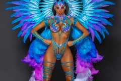 Section Leader-wire-bra w fl-gem bikini bottom, fl tiara, fl necklace w shoulder pc, fl arm pcs, fl upper & lower leg pcs & xl backpack.