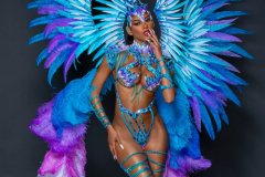 Section Leader-wire-bra w fl-gem bikini bottom, fl tiara, fl necklace w shoulder pc, fl arm pcs, fl upper & lower leg pcs & xl backpack.