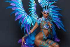 Section Leader-wire-bra w fl-gem bikini bottom, fl tiara, fl necklace w shoulder pc, fl arm pcs, fl upper & lower leg pcs & xl backpack.