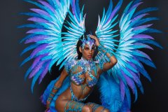 Section Leader-wire-bra w fl-gem bikini bottom, fl tiara, fl necklace w shoulder pc, fl arm pcs, fl upper & lower leg pcs & xl backpack.