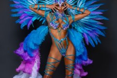 Section Leader-wire-bra w fl-gem bikini bottom, fl tiara, fl necklace w shoulder pc, fl arm pcs, fl upper & lower leg pcs & xl backpack.