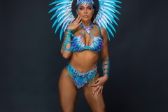 Standard-tiara, std necklace, std arm pcs, std leg pcs, standard bra, std bikini bottom w belt & medium backpack.