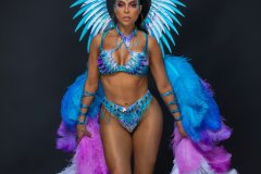 Standard-tiara, std necklace, std arm pcs, std leg pcs, standard bra, std bikini bottom w belt & medium backpack w bustle.