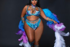 Standard-tiara, std necklace, std arm pcs, std leg pcs, standard bra, std high waist bottom w belt & feathered bustle.