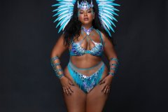 Standard-tiara, std necklace, std arm pcs, std leg pcs, standard bra, std high waist bottom w belt & medium backpack.