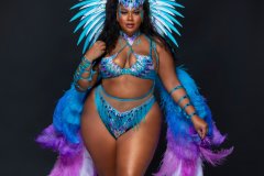 Standard-tiara, std necklace, std arm pcs, std leg pcs, standard bra, std high waist bottom w belt & medium backpack w bustle.