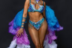 Standard-tiara, std necklace, std arm pcs, std leg pcs, standard bra, std bikini bottom w belt & feathered bustle.