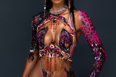 Frontline-wire-bra w fl gem bikini bottom, tiara ,fl necklace, fl arm pcs, fl leg pcs.