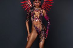 Frontline-wire-bra w fl gem bikini bottom, tiara ,fl necklace, fl arm pcs, fl leg pcs & medium backpack.