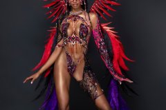 Frontline-wire-bra w fl gem bikini bottom, tiara ,fl necklace, fl arm pcs, fl leg pcs & medium backpack w bustle.