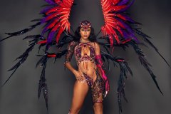 Frontline-wire-bra w fl gem bikini bottom, tiara ,fl necklace, fl arm pcs, fl leg pcs, & large backpack.