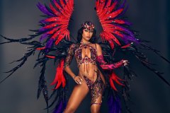 Frontline-wire-bra w fl gem bikini bottom, tiara ,fl necklace, fl arm pcs, fl leg pcs & large backpack w bustle. 