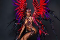 Section Leader-wire-bra w fl gem bikini bottom, tiara ,fl necklace, fl arm pcs, fl leg pcs & 