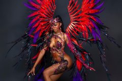 Section Leader-wire-bra w fl gem bikini bottom, tiara ,fl necklace, fl arm pcs, fl leg pcs & xl backpack.