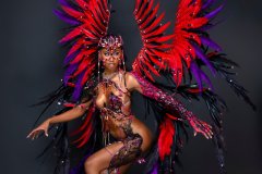 Section Leader-wire-bra w fl gem bikini bottom, tiara ,fl necklace, fl arm pcs, fl leg pcs & xl backpack.