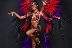 Section Leader-wire-bra w fl gem bikini bottom, tiara ,fl necklace, fl arm pcs, fl leg pcs & xl backpack.