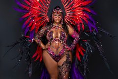 Section Leader-wire-bra w high waist gem bottom, tiara ,fl necklace, fl arm pcs, fl leg pcs & xl backpack.