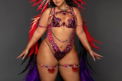 Standard-std bra, w high waist gem bikini bottom, necklace ,  std arm pcs, std leg pcs & medium backpack w bustle.