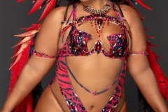 Standard-std bra, w high waist gem bikini bottom, necklace ,  std arm pcs, std leg pcs & medium backpack w bustle.