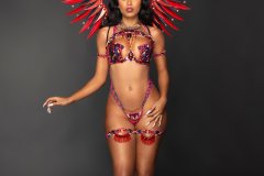 Standard-std bra, w std gem bikini bottom, necklace ,  std arm pcs, std leg pcs & medium backpack.