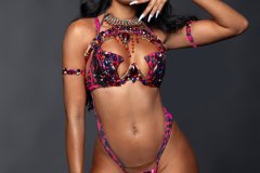 Standard-std bra, w std gem bikini bottom, necklace ,  std arm pcs, std leg pcs.