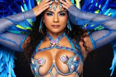 Jeweled-crown-wire-bra03376-resized