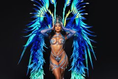 Section-Leader-Wire-bra-w-fl-gem-bikini-bottom-jeweled-crown-fl-necklace-fl-sleeves-thigh-bands-fl-lower-leg-pcs-xl-backpack.-03356-resized