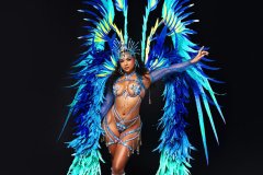 Section-Leader-Wire-bra-w-fl-gem-bikini-bottom-jeweled-crown-fl-necklace-fl-sleeves-thigh-bands-fl-lower-leg-pcs-xl-backpack.-resized