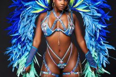 Standard-Standard-bra-w-std-gem-bikini-bottom-feathered-tiara-small-gloves-thigh-bands-lower-leg-pcs-medium-backpack.-03182-resized