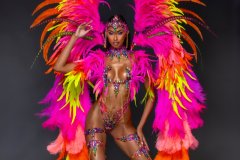 Section Leader- Wire-bra w fl gem bikini bottom,  fl tiara, fl necklace w feathered shoulder, fl upper & lower leg pcs & xl backpack.