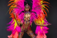 Section Leader- Wire-bra w fl gem bikini bottom,  fl tiara, fl necklace w feathered shoulder, fl upper & lower leg pcs & xl backpack.