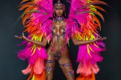 Section Leader- Wire-bra w fl gem bikini bottom,  fl tiara, fl necklace w feathered shoulder, fl upper & lower leg pcs & xl backpack.