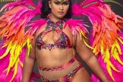 Standard-Std bra w gem-high waist bottom.