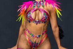 Standard- Std bra w std gem bikini bottom, std tiara, std necklace, with feathered shoulder pcs, std leg pcs.